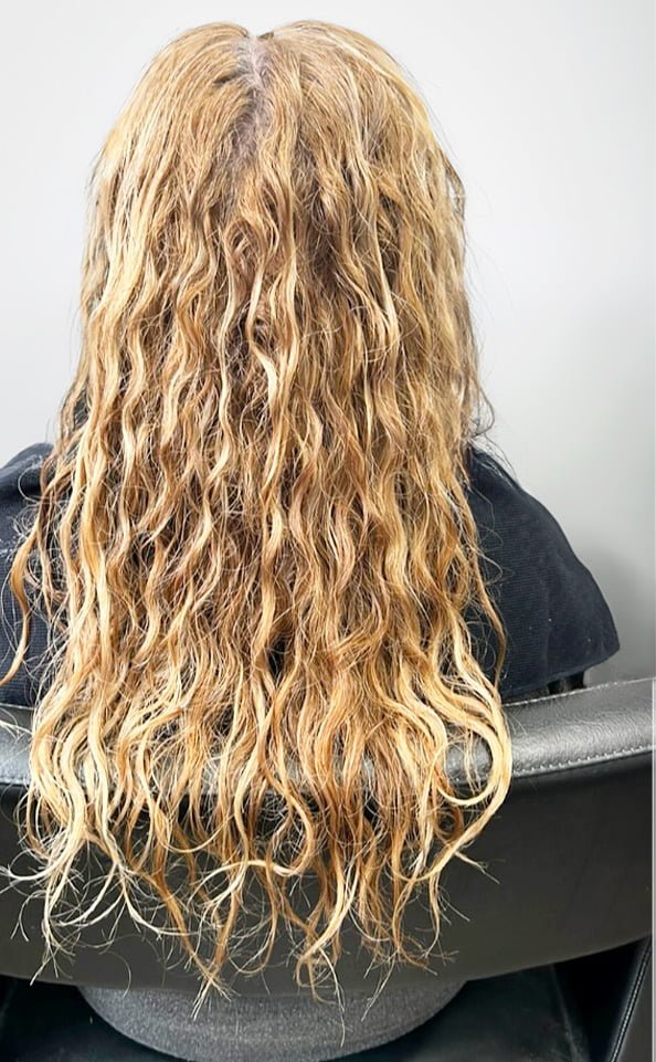curly hair damaged by coloring before treatment (taninoplasty treatment)